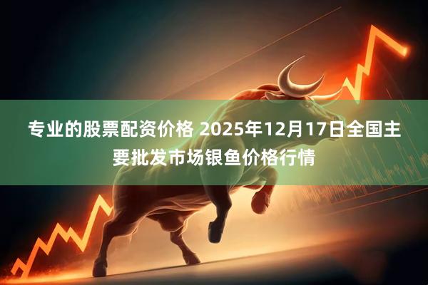 专业的股票配资价格 2025年12月17日全国主要批发市场银鱼价格行情